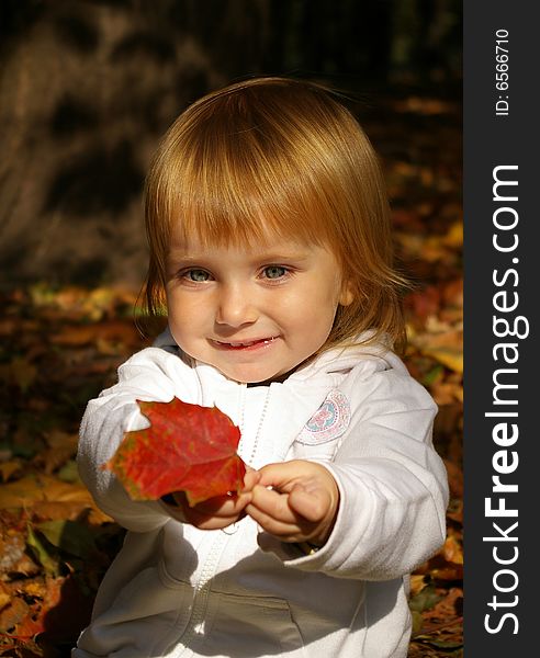 Autumn portrait of cute little caucasian girl. Autumn portrait of cute little caucasian girl