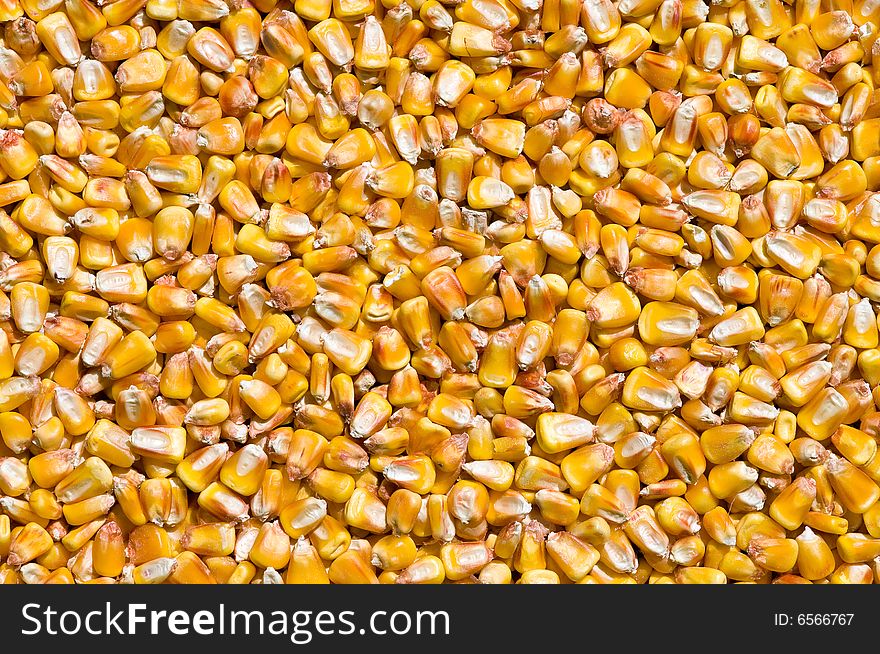 Dried corns, food background, top view