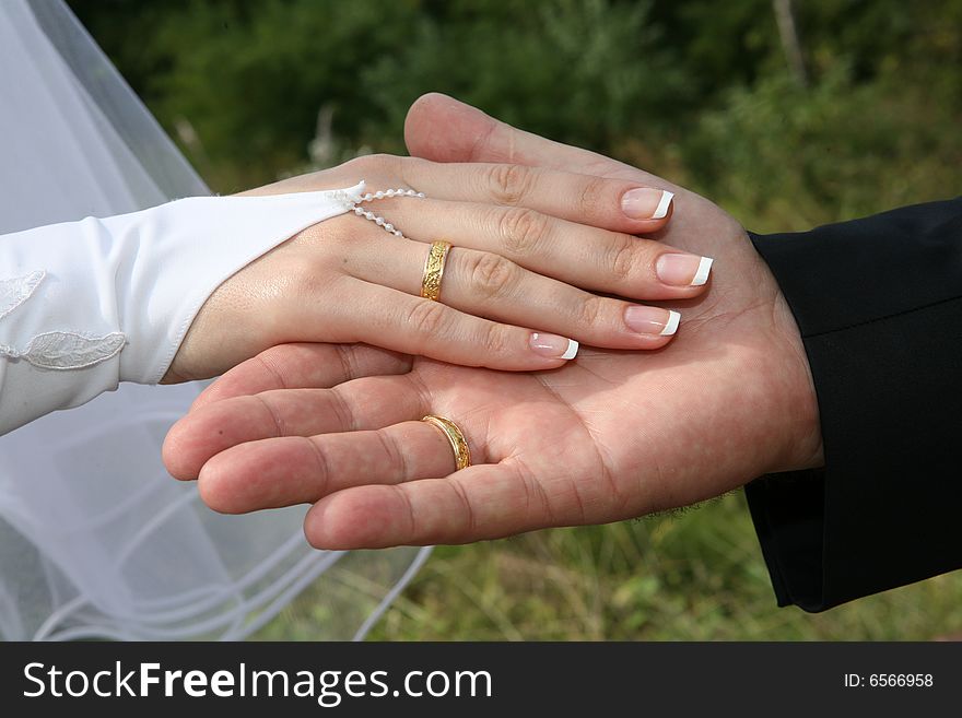 Two palms together. It is man's and female palms. 
There are wedding rings on their fingers.