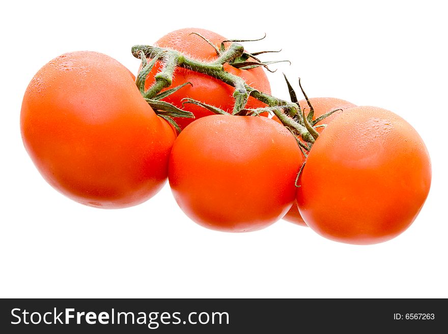 Fresh tomatoes on the vine isolated on a white background