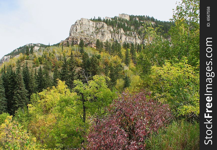 Fall Colors - Spearfish Canyon