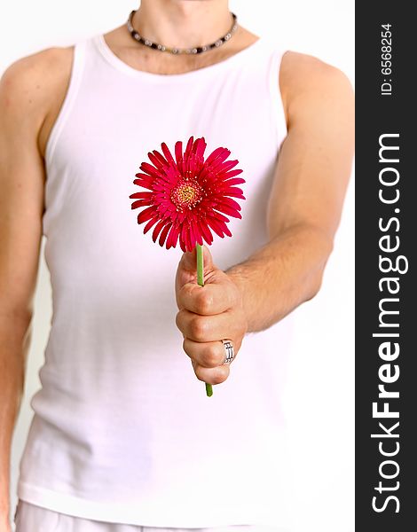 Man giving a red flower. Man giving a red flower