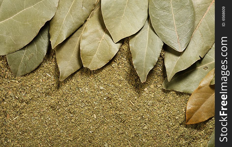 Dried bay leaves on powder background
