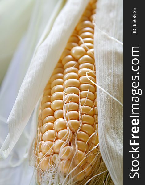 Fresh corncob sweetcorn with leaves, shallow DOF