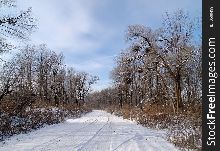 Wood road in the winter