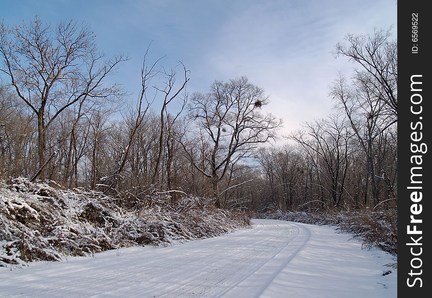 Wood road in the winter