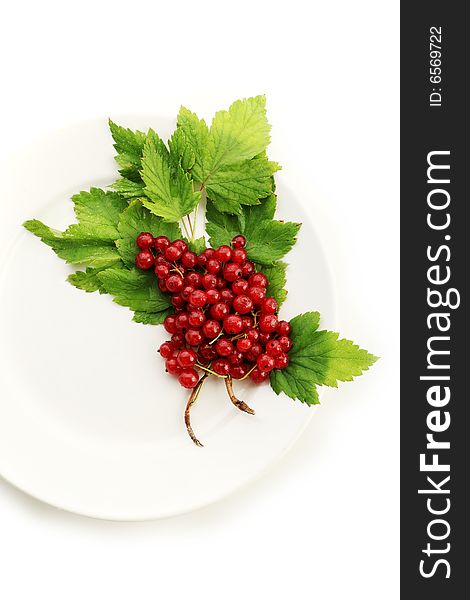 Red currant berries. Shot in a studio. Red currant berries. Shot in a studio.