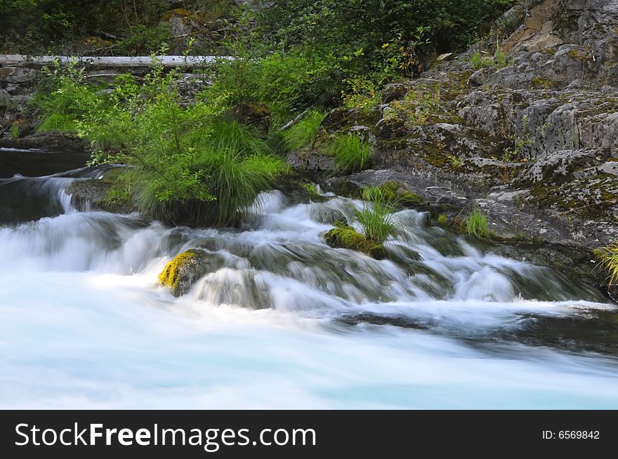 Small tree in the middle of fast flow stream