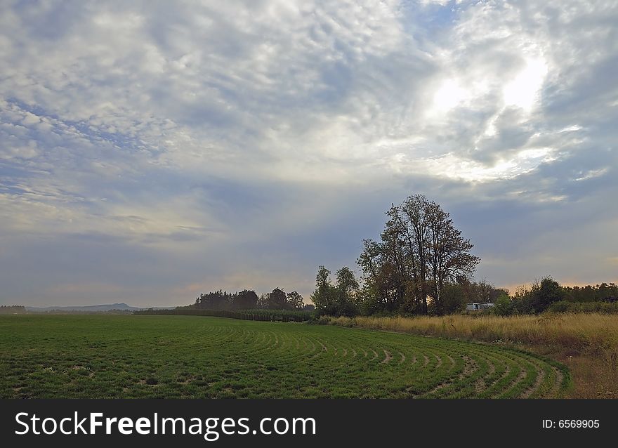 Farm field under blue sky and clouds