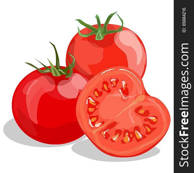 Tomato isolated on white background vector illustration