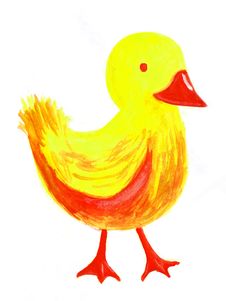 Little Duck Illustration Stock Images
