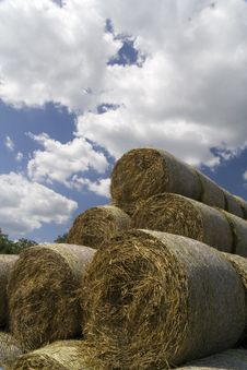 Hay Stock Photography Hay Stock Photography