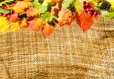 Autumn Composition Stock Photo