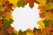 Frame From Autumn Maple Leaves Royalty Free Stock Images