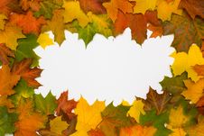 Frame From Autumn Maple Leaves Royalty Free Stock Photos