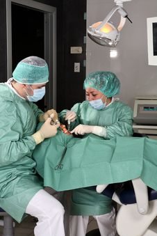Dentist At Work Royalty Free Stock Images Dentist At Work Royalty Free Stock Images