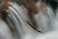 Branch In Icy Stream Royalty Free Stock Images Branch In Icy Stream Royalty Free Stock Images