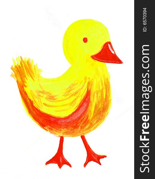 Little duck water color illustration. Little duck water color illustration