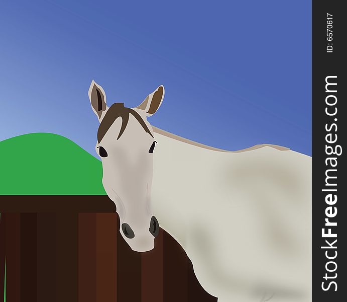 Greyish-white horse against backdrop of fense, rolling hills and blue sky