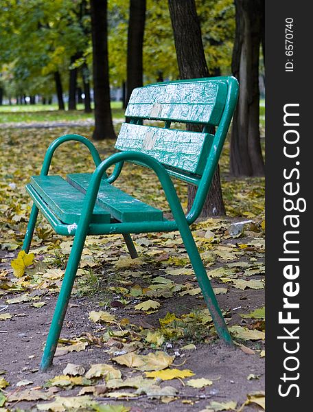 Green Bench In Park