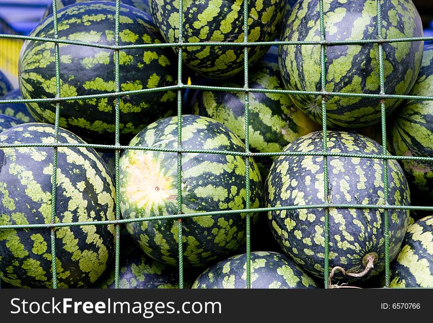 Background of green watermelones in cage