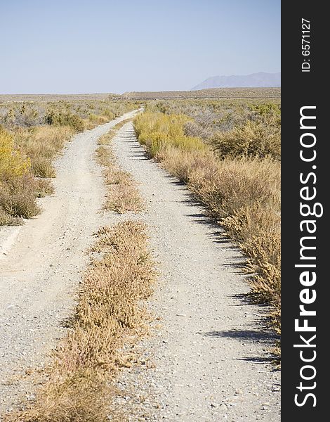 Curving dirt road in the high desert with sagebrush on a desert morning. Curving dirt road in the high desert with sagebrush on a desert morning.