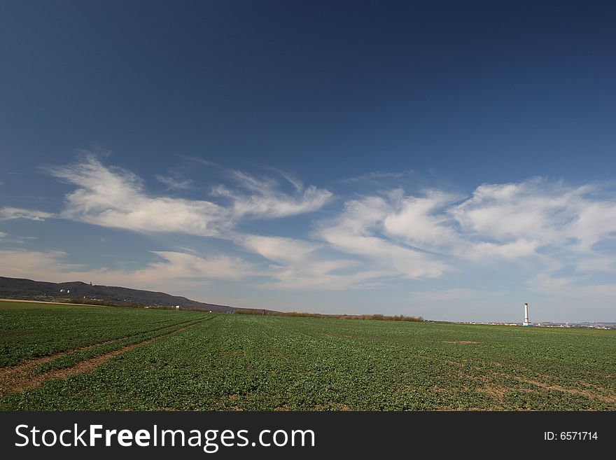 Idyllic landscape with field and cirrus clouds