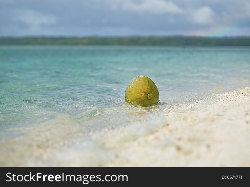 Coconut on a deserted beach