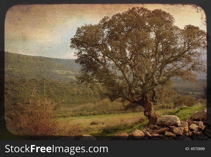 Tree on a vintage textured background