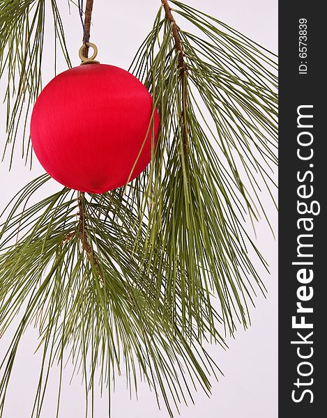 A red tree ornament hanging from a pine tree branch against a white background. A red tree ornament hanging from a pine tree branch against a white background