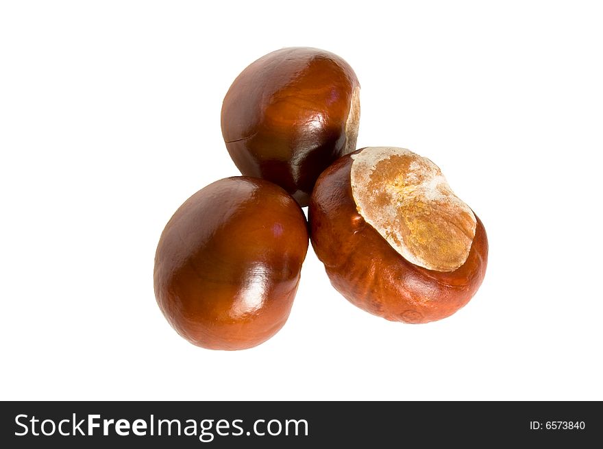 Brown chestnuts isolated on white