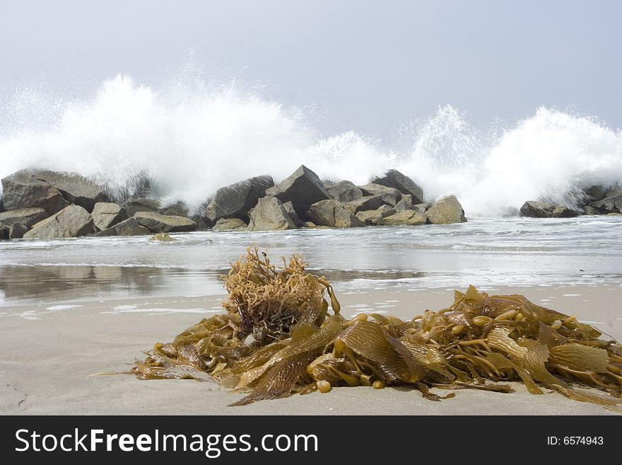 Seaweed that is lying on the beach with waves clashing on the rocks