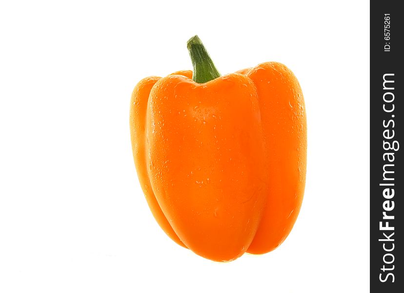 Isolated Orange Bell Pepper