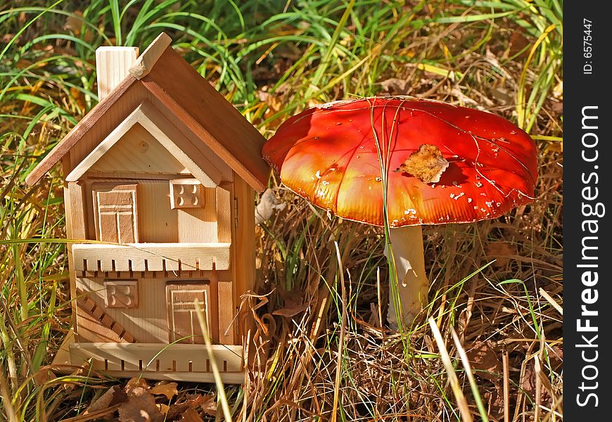 A cottage of forest habitants and living umbrella is a red fly-agaric. A cottage of forest habitants and living umbrella is a red fly-agaric.