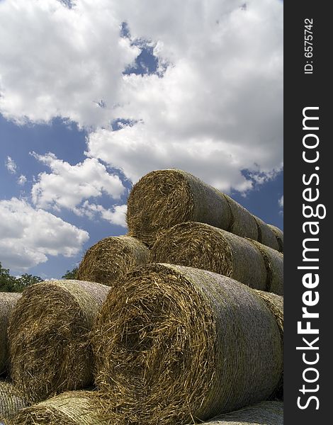 Stacked bales of hay on the meadow