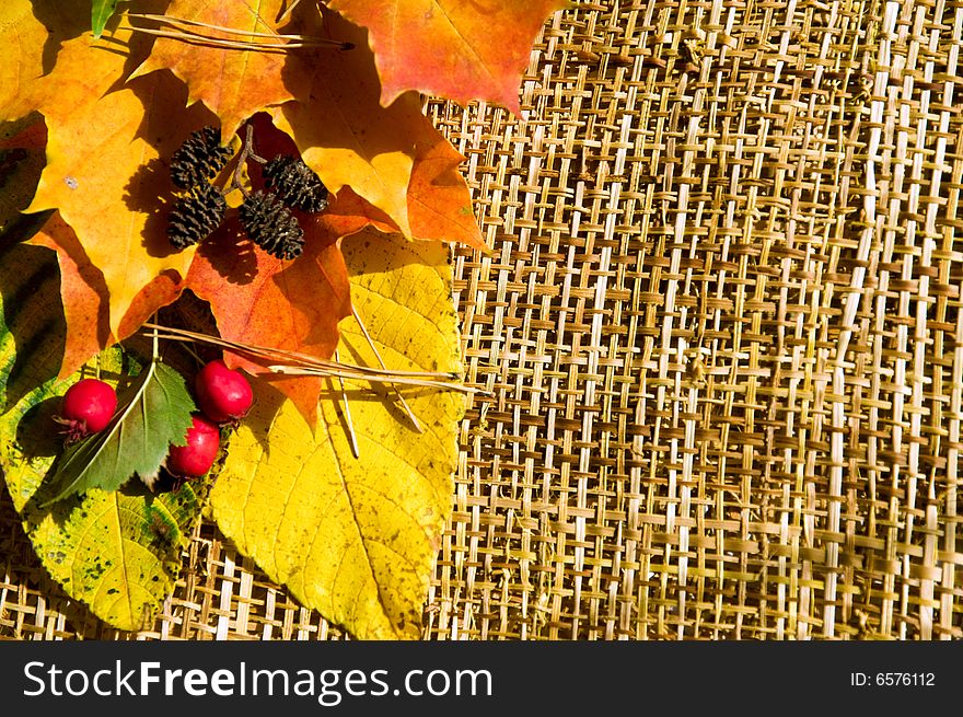 Horizontal border made of colorful autumn leaves, berries and cones on rough sacking texture. Horizontal border made of colorful autumn leaves, berries and cones on rough sacking texture