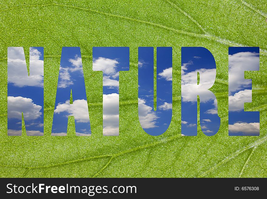 Close up of a green leaf with a word nature against the blue sky.Nature concept. Close up of a green leaf with a word nature against the blue sky.Nature concept.