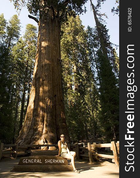 A woman posing before a sequoia tree