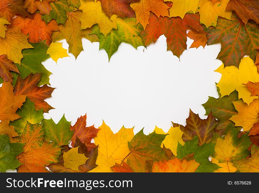 Framework from autumn multi-coloured maple leaves. Framework from autumn multi-coloured maple leaves