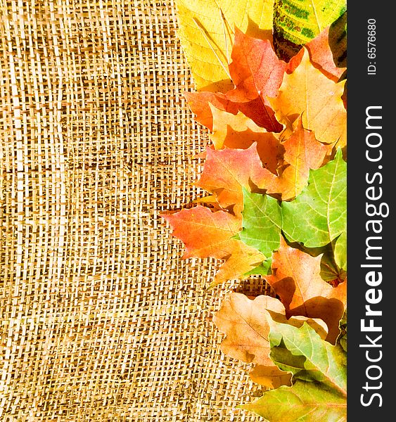 Verticacl background with sacking texture and colorful autumn leaves. Verticacl background with sacking texture and colorful autumn leaves