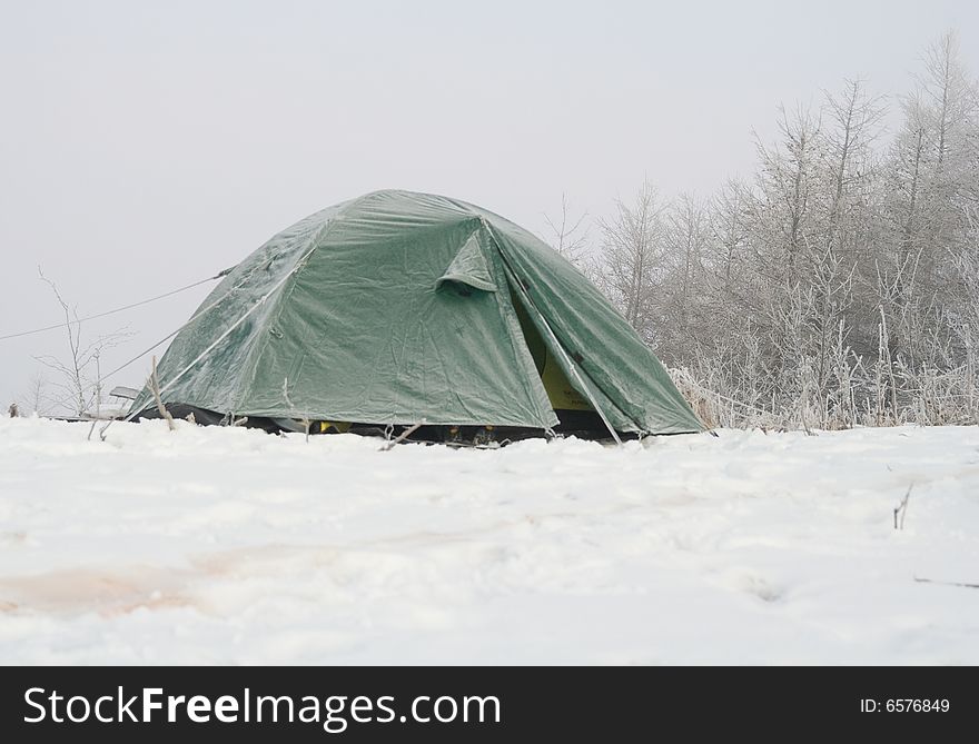 Frosted green tent in winter. Frosted green tent in winter