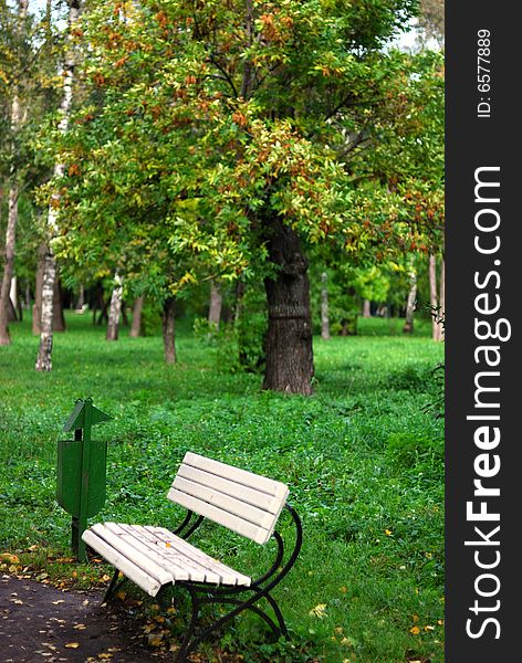 White bench in the park