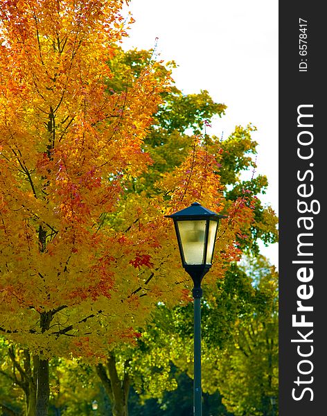 A latern in frnot of a tree in autumn colors. A latern in frnot of a tree in autumn colors