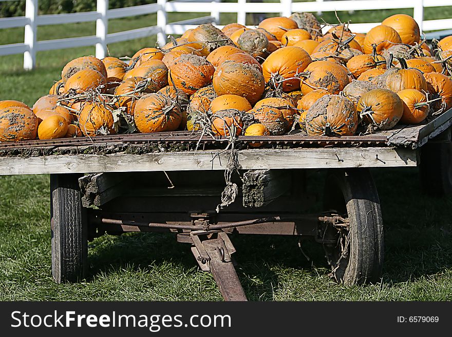 Wagon full of pumpkins