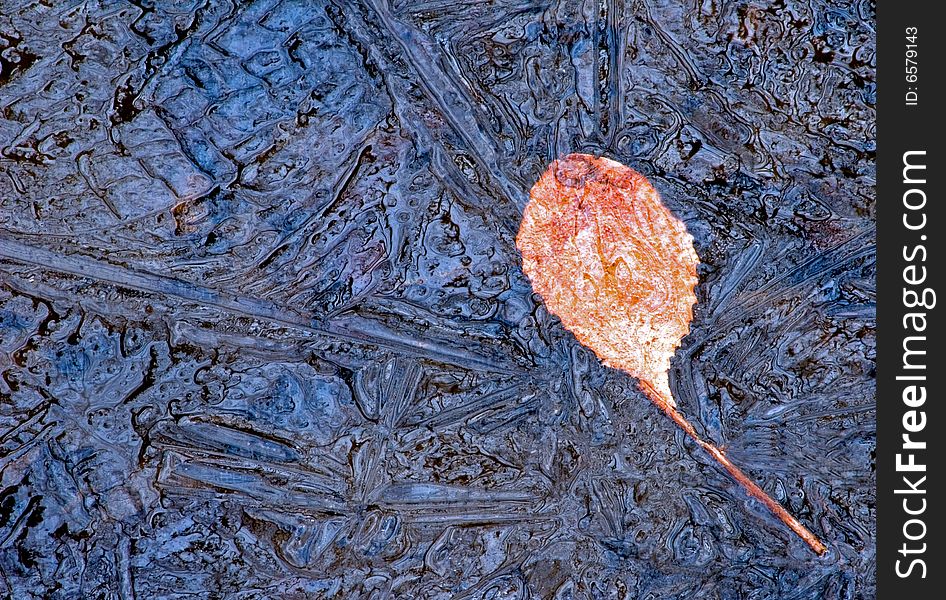 Leaf in frozen mountain stream reflecting blue sky. Leaf in frozen mountain stream reflecting blue sky