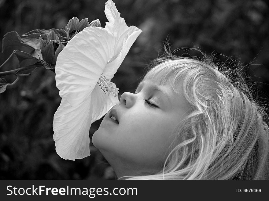 Little blond girl smelling a white hibiscus. Little blond girl smelling a white hibiscus.