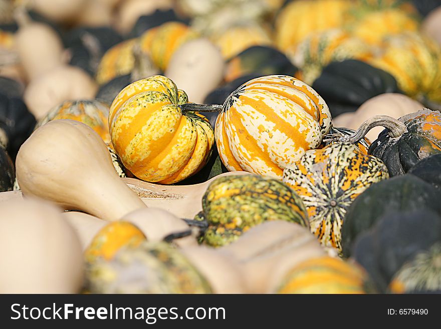 Wagon Full Of Gourds