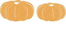 Two Brushed Orange Mandarins, White Veins, On White Royalty Free Stock Photography