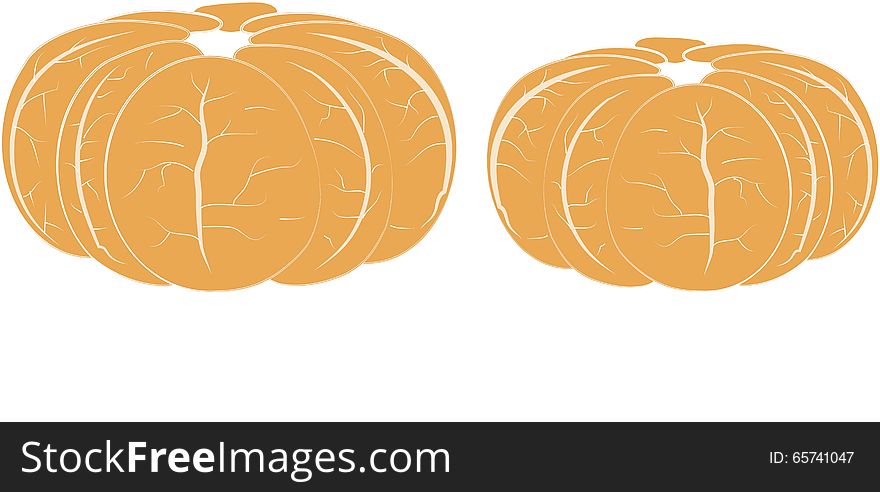 Two brushed orange mandarins, white veins, on white, vegetarian food, healthy food, design element, clip art, vector