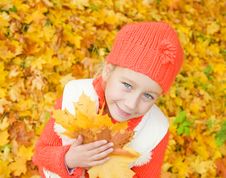 Girl With Autumn Leaves Royalty Free Stock Photography